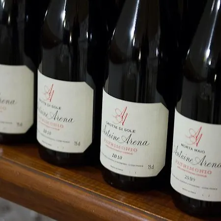 L'auberge Du Qui Peche Hotel Canari