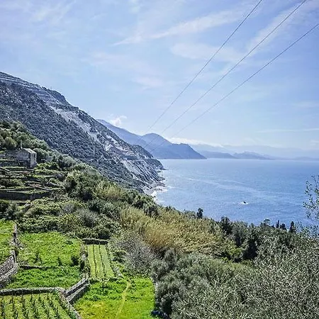 Hotel L'auberge Du Qui Peche 3*