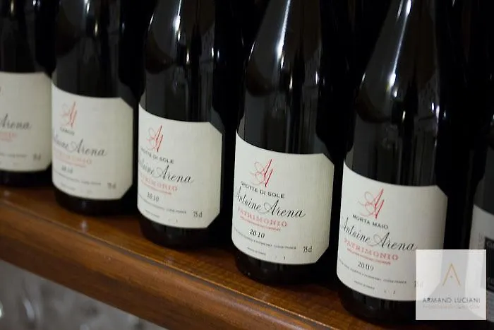 L'auberge Du Qui Peche Hotel Canari